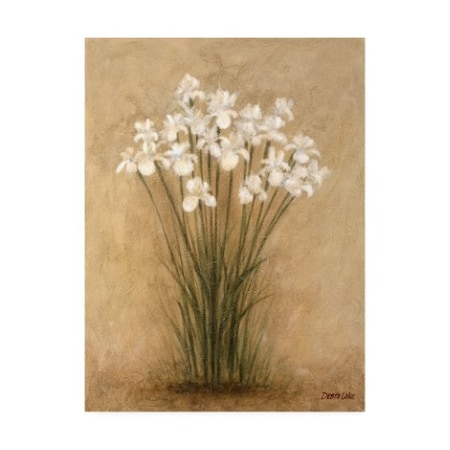 Debra Lake 'Clump Of Irises' Canvas Art,18x24